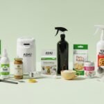 Whisk_242f3449ed109ffb76b4c560d06d563edr